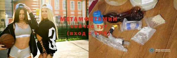 сатива Аркадак