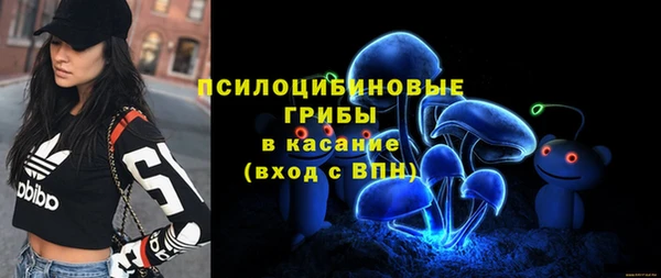 стаф Заволжск
