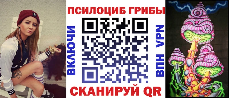 даркнет телеграм  Новосиль  Галлюциногенные грибы мицелий 